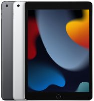 Apple iPad 10.2 (256GB)