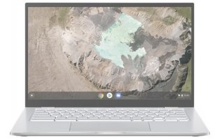 Asus Chromebook C425 (14)