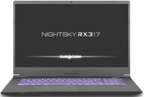Eurocom Nightsky RX317 (RTX 3070)