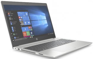 HP ProBook 455 G7 (AMD)